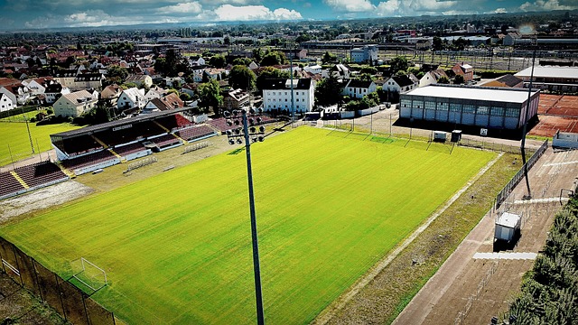 河南体彩希 河南体彩希