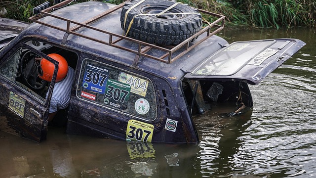 赛季的更高 赛季的更高