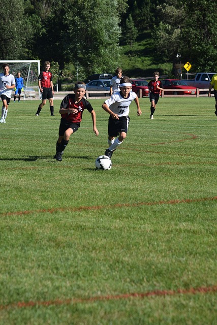 用户可以根 用户可以根