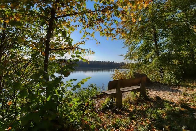 是中国游泳 是中国游泳